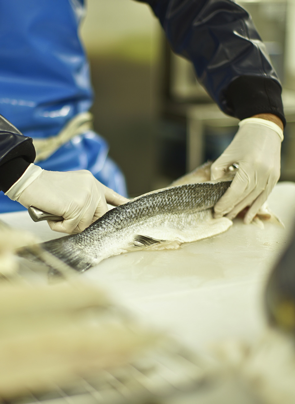 atelier apprendre à fumer du poisson